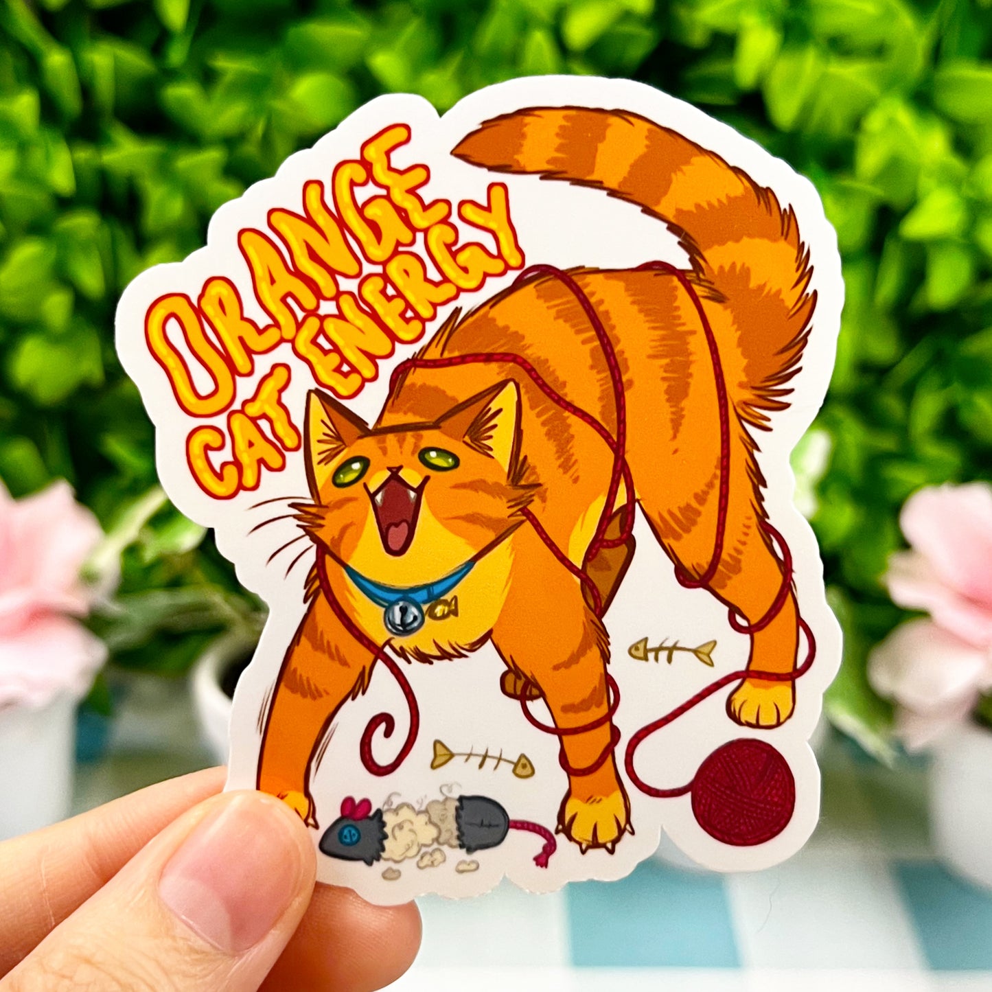 Orange Cat Energy