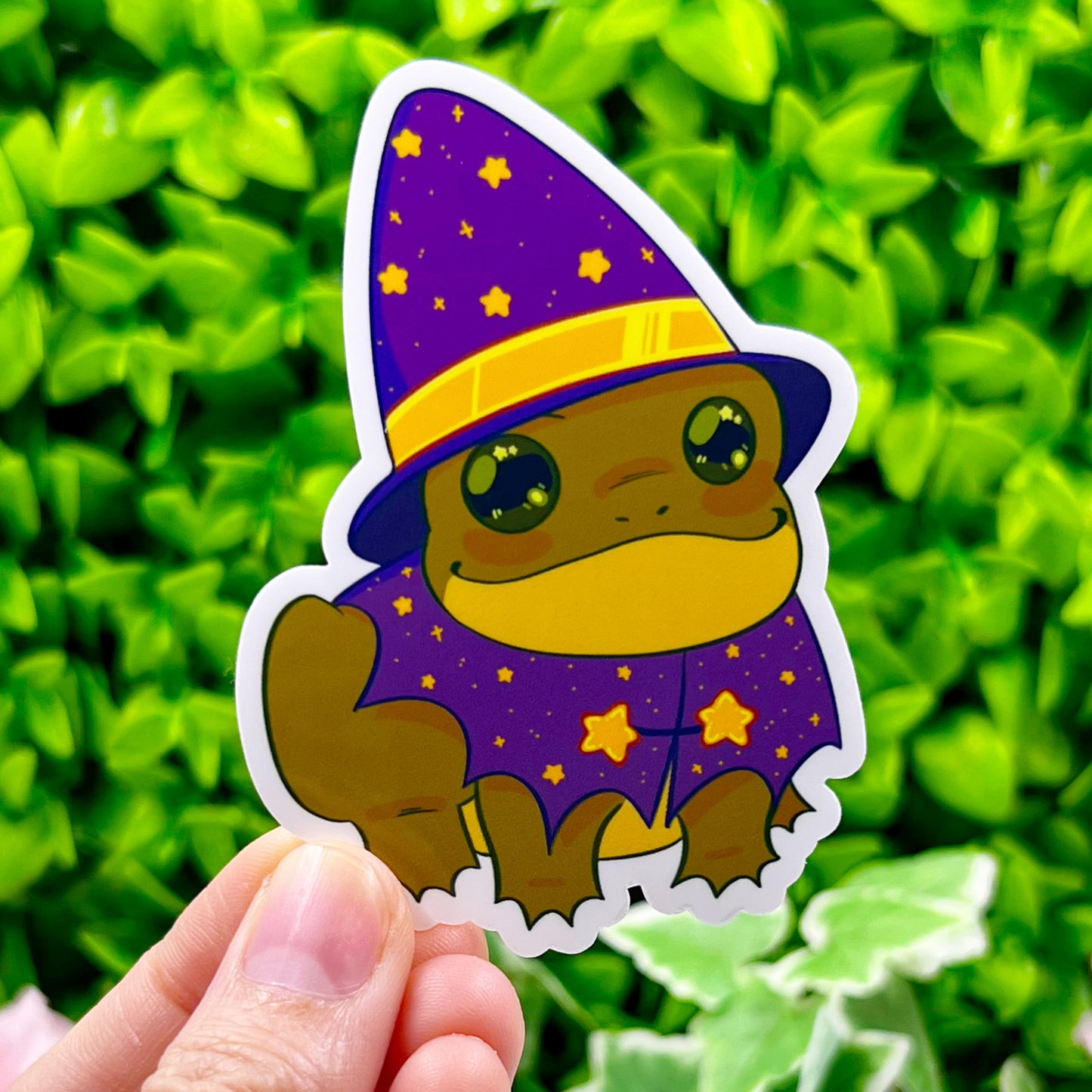 Frog Wizard