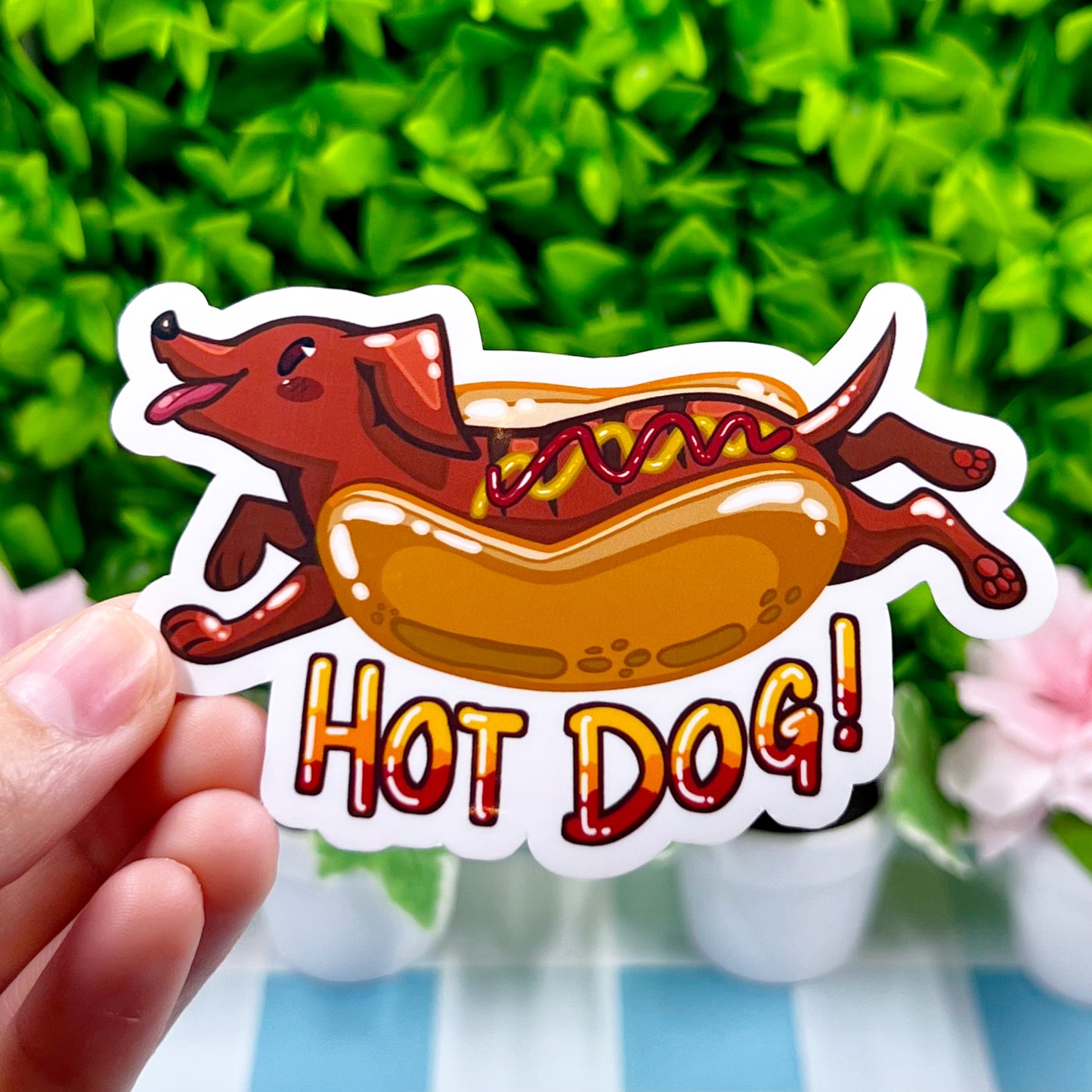 Hot Dog