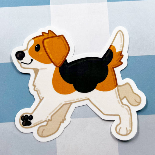Beagle
