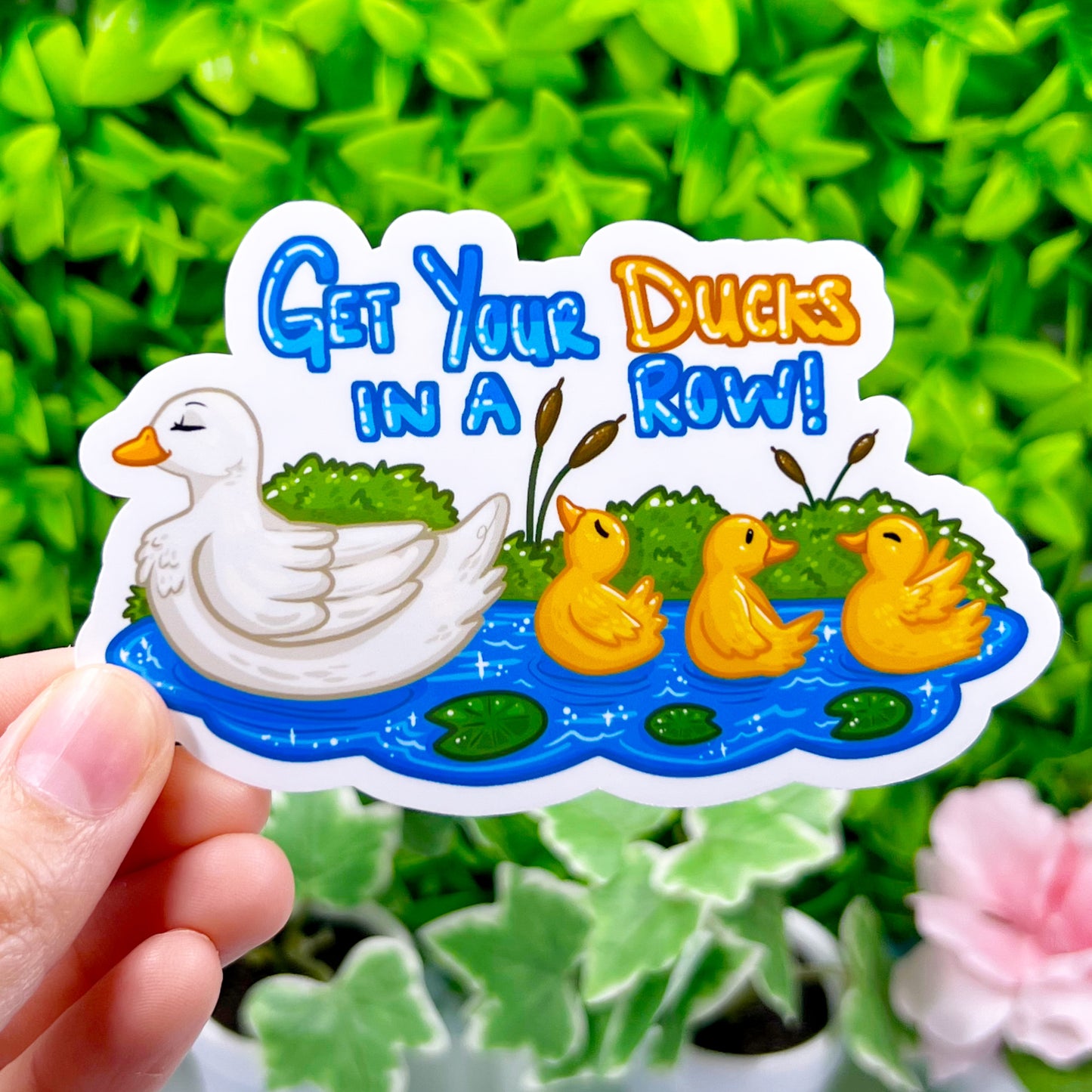 Get Your Ducks In A Row