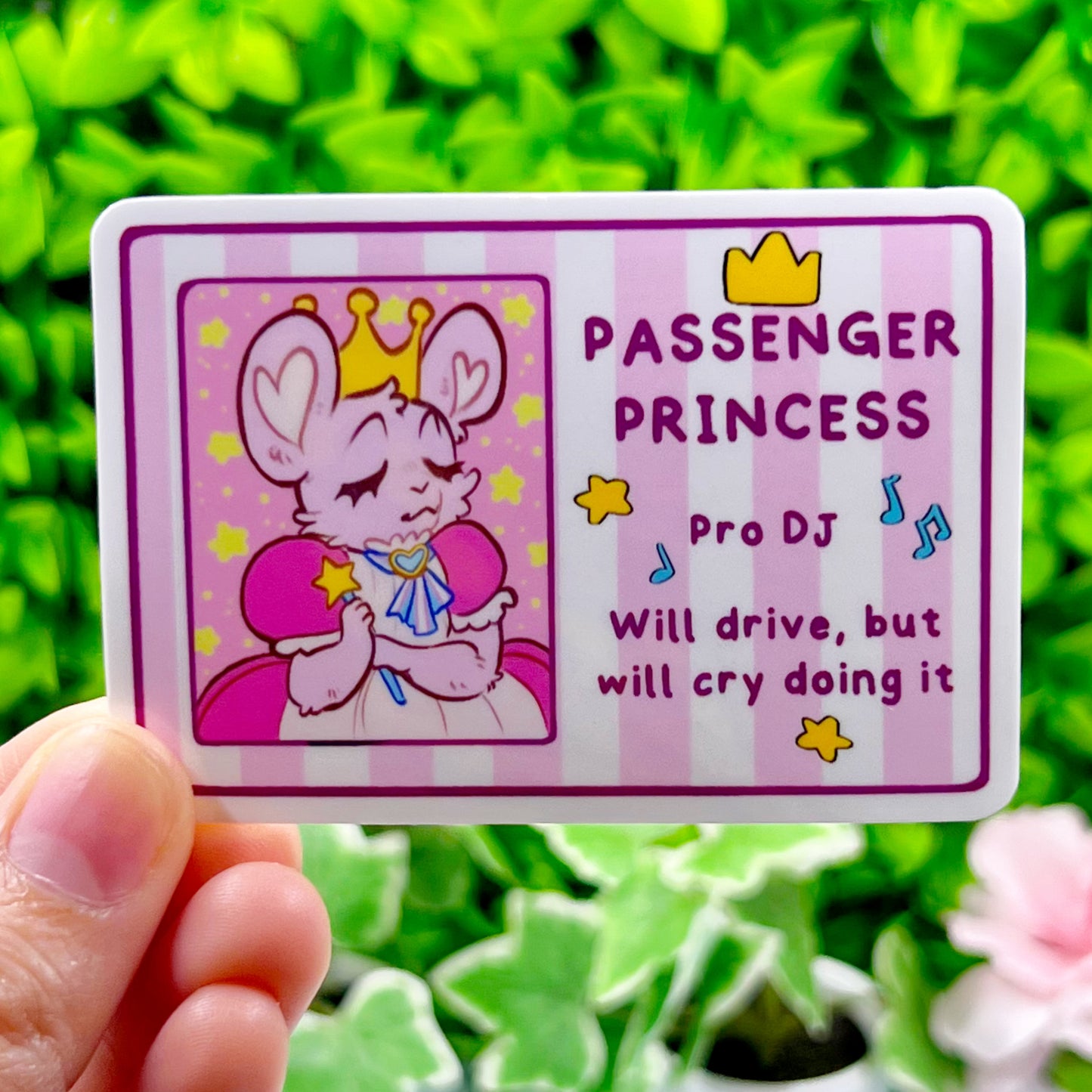 Passenger Princess License