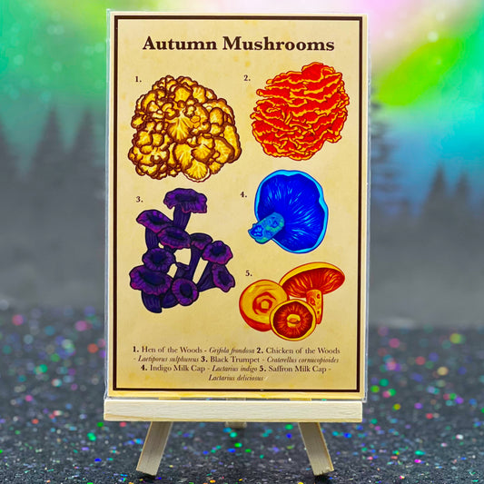 Autumn Mushrooms